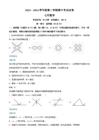 辽宁省铁岭市西丰县2023-2024学年七年级下学期期中数学试题