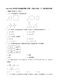 +四川省成都市锦江区师一学校2023-2024学年七年级下学期期中数学试卷