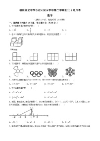 2024年福建省福州延安中学中考模拟数学试题(无答案)