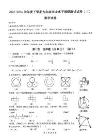 2024年哈尔滨市道外区中考三模数学试卷和答案