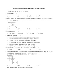 2024年中考数学模拟试卷临考安心卷（湖北专用）