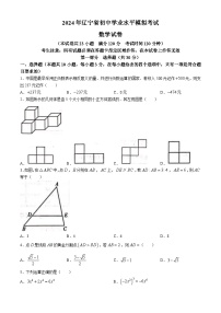 2024年辽宁省丹东市振安区九年级中考三模数学试题(无答案)