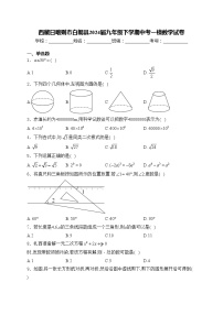 西藏日喀则市白朗县2024届九年级下学期中考一模数学试卷(含答案)