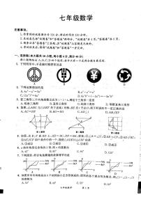 安徽省宿州市泗县2023-2024学年七年级下学期6月月考数学试题