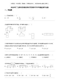 2024年广东深圳罗湖区深圳市罗湖中学中考模拟数学试卷