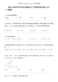 2023_2024学年四川眉山洪雅县初三下学期期中数学试卷（4月）