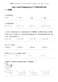 2023_2024学年海南临高县初三下学期期中数学试卷