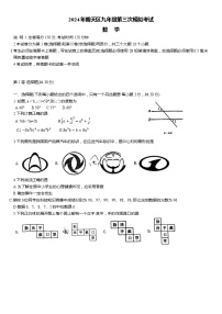 2024年四川省广元市昭化区中考三模数学试题