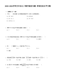 2023-2024学年苏科版七下数学提优专题 神奇的完全平方数（含答案）