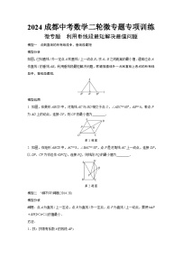 2024成都中考数学二轮微专题专项训练  (含答案)