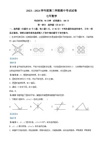 辽宁省铁岭市西丰县2023-2024学年七年级下学期期中数学试题