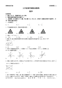 2024年陕西省安康市旬阳县中考二模数学试题