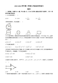 2024年福建省漳州第一中学九年级中考模拟数学试题(无答案)