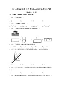 2024年春安徽省九年级中考数学模拟试题（含答案）