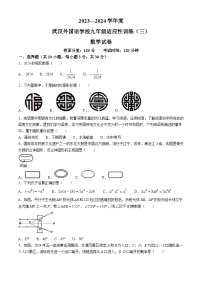 2024年湖北省武汉市外国语学校初中部中考模拟数学试题