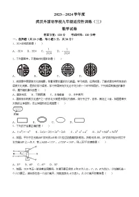 2024年湖北省武汉市外国语学校初中部中考模拟数学试题