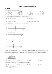 山东省济南市高新区2024年八年级下学期数学期末考试试卷附参考答案