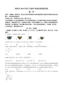 2024年广东省深圳文汇中学中考模拟数学试题