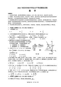 2024年江苏省苏州市苏州高新区实验初级中学九年级三模数学试题