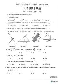 山东省聊城市聊城教育联盟共同体2023-2024学年七年级下学期6月月考数学试题