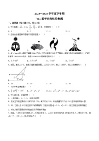 2024年山东省日照市东港区新营中学九年级三模考试数学试题(无答案)