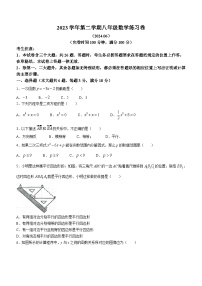 上海市奉贤区2023-2024学年八年级下学期期末数学试题(无答案)