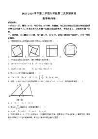 广东省佛山市南海区桂城街道灯湖初级中学2023-2024学年八年级下学期期中数学试题(无答案)