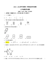 2024年山东省青岛大学附属中学中考三模数学试题(无答案)