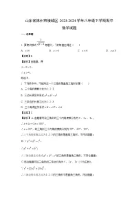 数学：山东省德州市陵城区2023-2024学年八年级下学期期中试题（解析版）