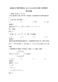 数学：河南省三门峡市渑池县2023-2024学年七年级下学期期中试题（解析版）