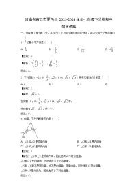 数学：河南省商丘市夏邑县2023-2024学年七年级下学期期中试题（解析版）