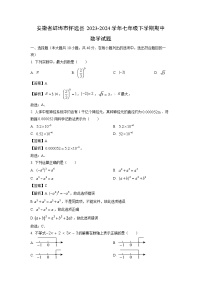 数学：安徽省蚌埠市怀远县2023-2024学年七年级下学期期中试题（解析版）