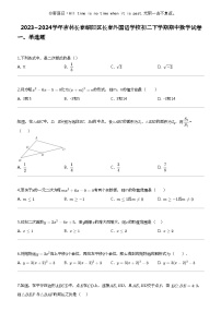 2023_2024学年吉林长春朝阳区长春外国语学校初二下学期期中数学试卷