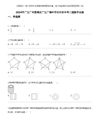 2024年广东广州荔湾区广东广雅中学初中部中考二模数学试卷
