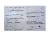 2024年河南省周口市商水县商水县希望初级中学九年级中考三模数学试题