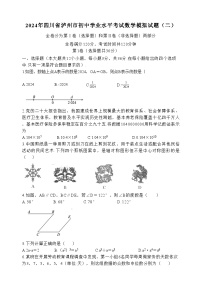 2024年四川省泸州市初中学业水平考试数学模拟试题（二）