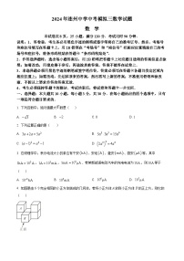 2024年广东省清远市连州中学中考三模数学试题（原卷版+解析版）