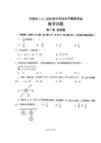 山东省东营市2024年初中学业水平模拟考试数学试题