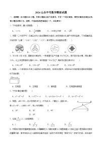 2024年山东省中考数学模拟试题