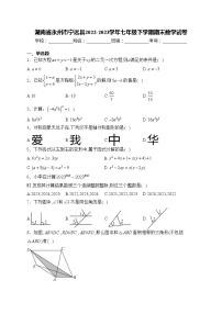 湖南省永州市宁远县2022-2023学年七年级下学期期末数学试卷(含答案)