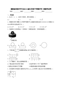 湖南省岳阳市平江县2024届九年级下学期中考二模数学试卷(含答案)