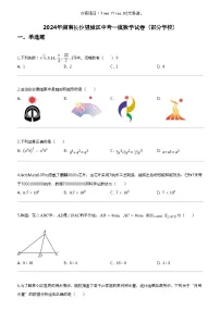 2024年湖南长沙望城区中考一模数学试卷（部分学校）
