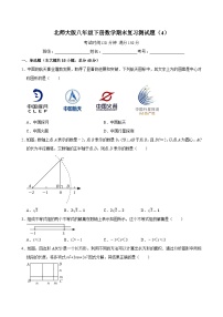 2023—2024学年北师大版数学八年级下册期末复习测试题（4）