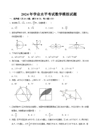 2024年山东省济宁市汶上县中考四模数学试题