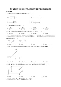 贵州省贵阳市2023-2024学年八年级下学期数学期末考试仿真试卷+