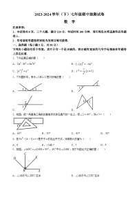 河南省焦作市中站区2023-2024学年七年级下学期期中数学试题