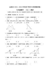 四川省金堂县实验中学初2023届数学基础知识专项训练题9 三角形