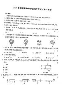 湖南省桃江县多校联考2024年中考三模考试数学试题