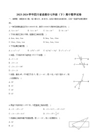 四川省成都市2023-2024学年七年级下学期期中数学试卷+