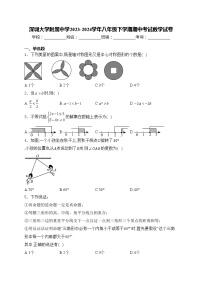 深圳大学附属中学2023-2024学年八年级下学期期中考试数学试卷(含答案)